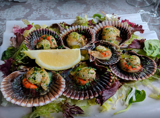 restauranis amare comida2