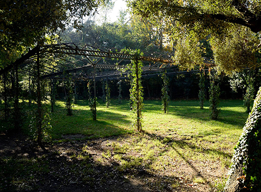 TaulaCasolana Barcelona Jardín