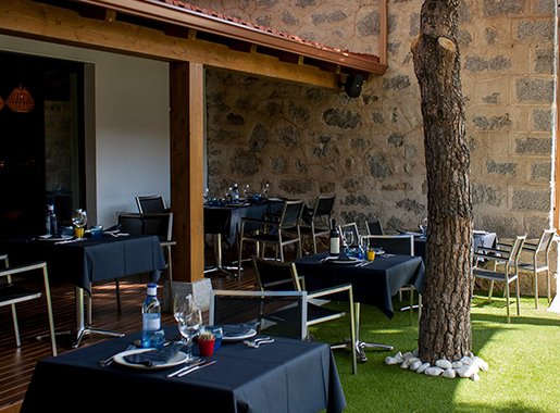 OliveGastrobarRestaurant Madrid Terraza2