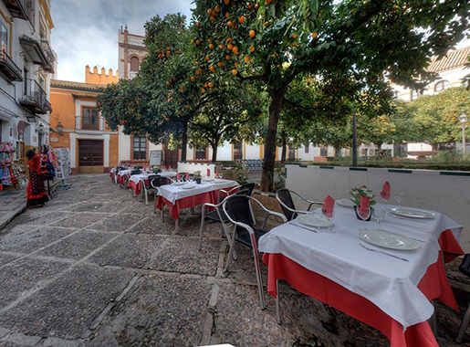 LaHosteríadeDoñaLina Sevilla Terraza2