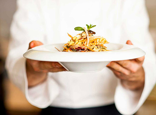 diversus plato2