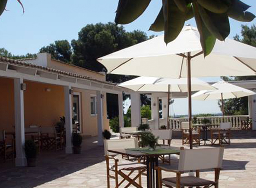 LaJara Valencia Terraza2