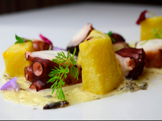 plato 2 kailuze