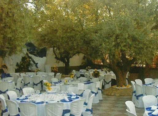 sevillano terraza