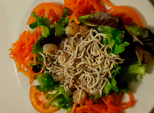avenida 21 plato3