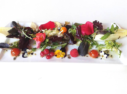 restaurante el clot dels mussols p1