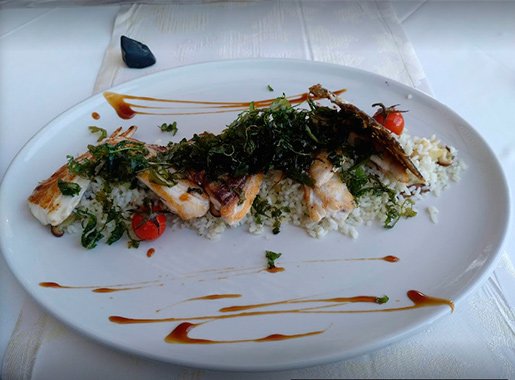 uranis CanPep Comida2