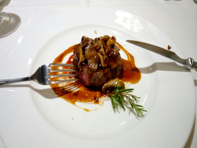 plato kailuze