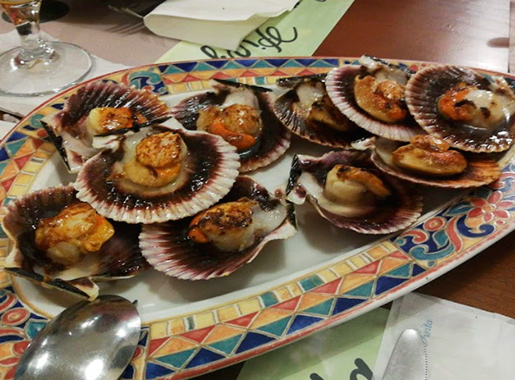 pizzicata plato4