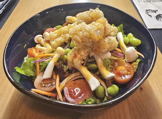 taurante c1 aisushi 1694913895.