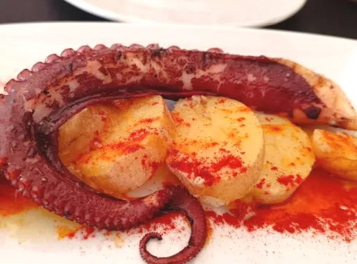 taurante c2 caracol del bierzo 286299868.