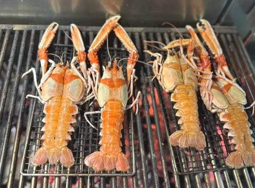 taurante c2 na ria 1735169945.