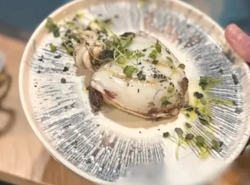 taurante c2 primateria 624594688.