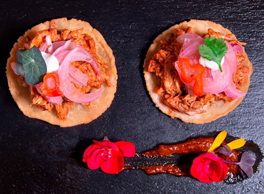 uranis agavero c1 tostadas carne