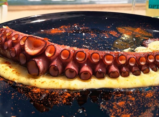 uranis azar c1 pulpo gallego