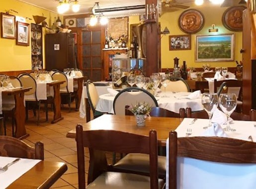 uranis can formiga L1 comedor grande