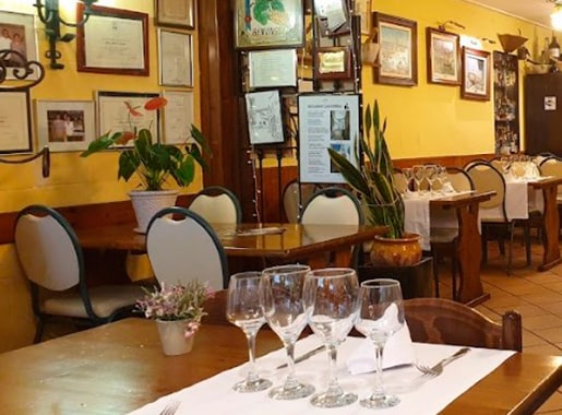 uranis can formiga L3 comedor luminoso