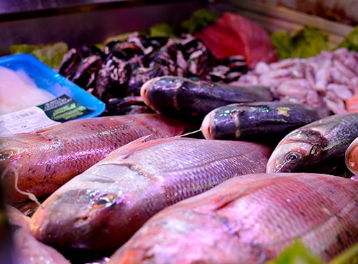 uranis doramar c1 pescados