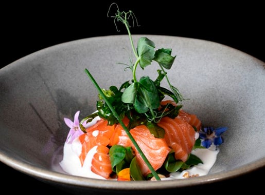 uranis frenezy c1 salmon con peregil