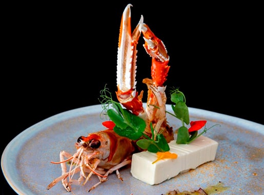 uranis frenezy c2 langostino con queso