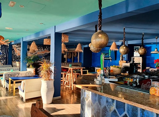 uranis goa L2 comedor marino