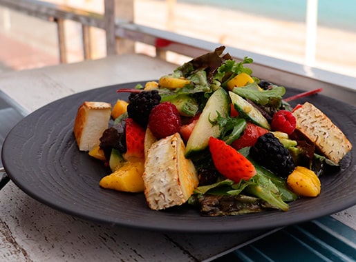 uranis goa c2 plato veganos