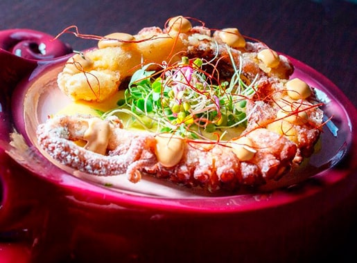 uranis mai tai c1 pulpo gallego