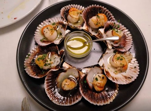 uranis paladar y tomar C2 mejillones