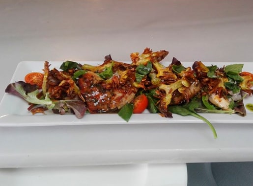 uranis palique c2 plato vegano