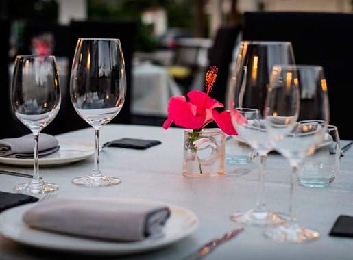 uranis palmera L2 mesa con flores