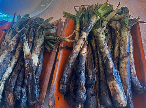 urante masia bou c2 calçots de temporada