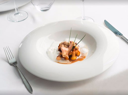 urante tellus c1 setas con salsa