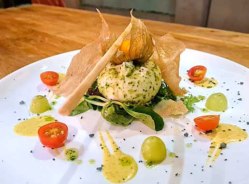 urante_Larvi_C1_QUESO