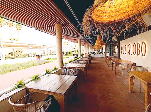 urante_Pez_Globo_L2_terraza