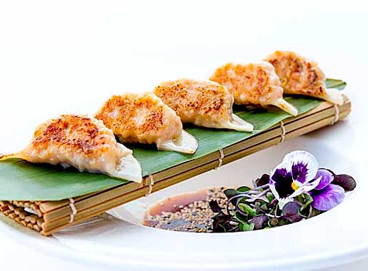 urante_Sumailla_C1_GYOZAS