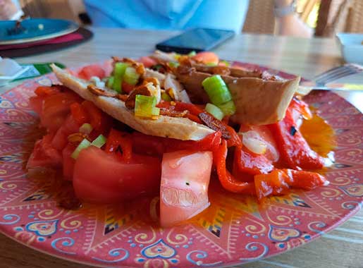 urante_raices_C1_tomate
