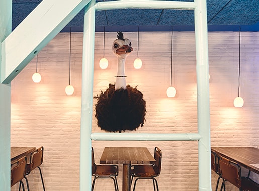 urantes Farigola i menta L1 salon interior