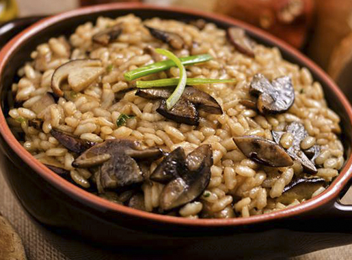 plato1 pedralbes madrid
